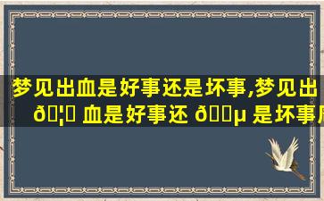 梦见出血是好事还是坏事,梦见出 🦈 血是好事还 🌵 是坏事周公解梦